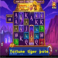 fortune tiger pote de ouro completo